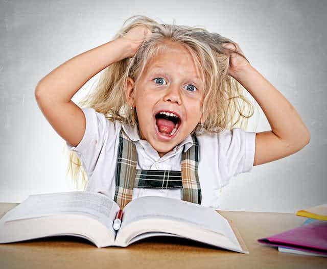 Counseling and Psychotherapy Services